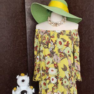 Ivy Jane Women's Top/Dress